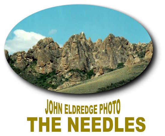 Needles.JPG (59779 bytes)