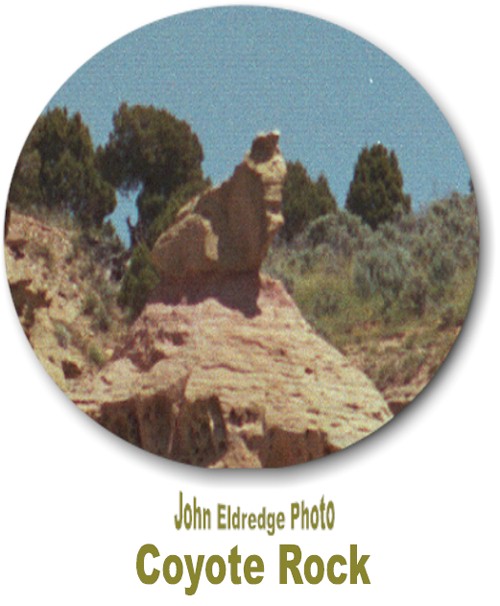 coyote.jpg (61098 bytes)